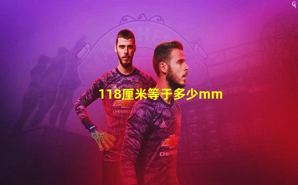 118厘米等于多少mm