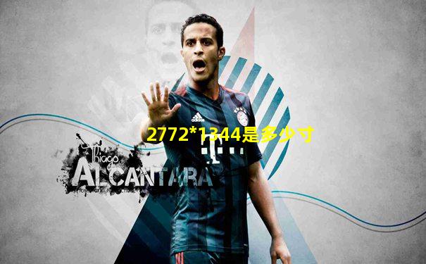2772*1344是多少寸