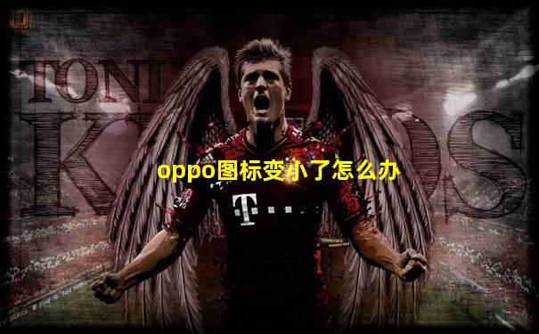 oppo图标变小了怎么办