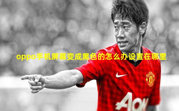 oppo手机屏幕变成黑色的怎么办设置在哪里