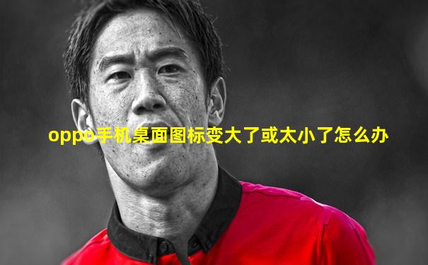 oppo手机桌面图标变大了或太小了怎么办