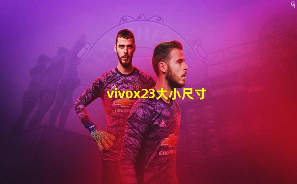 vivox23大小尺寸