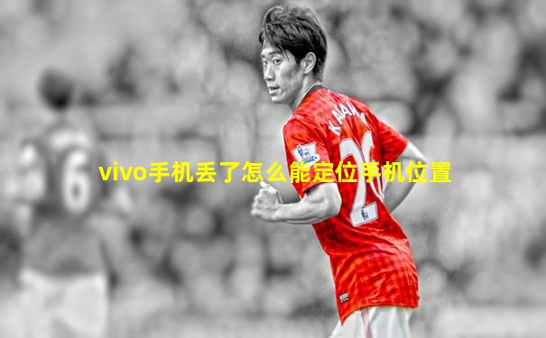 vivo手机丢了怎么能定位手机位置