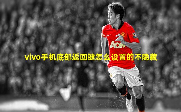 vivo手机底部返回键怎么设置的不隐藏