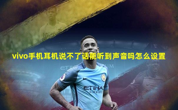 vivo手机耳机说不了话能听到声音吗怎么设置