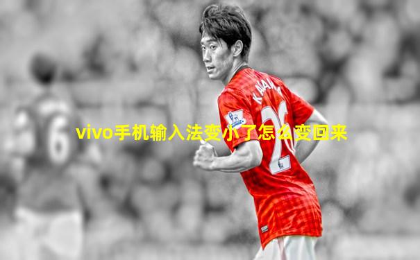 vivo手机输入法变小了怎么变回来