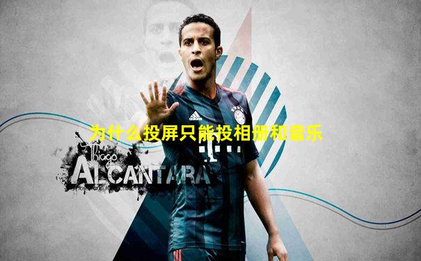 为什么投屏只能投相册和音乐