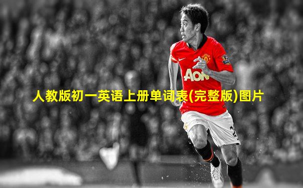 人教版初一英语上册单词表(完整版)图片