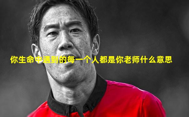你生命中遇到的每一个人都是你老师什么意思