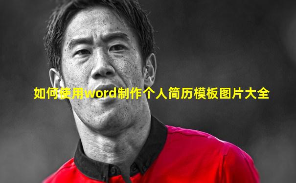 如何使用word制作个人简历模板图片大全