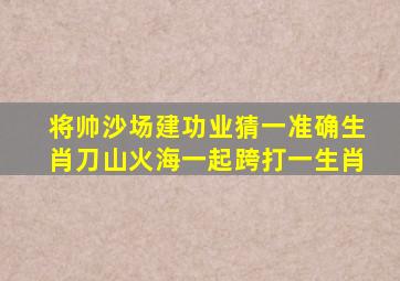 将帅沙场建功业猜一准确生肖刀山火海一起跨打一生肖