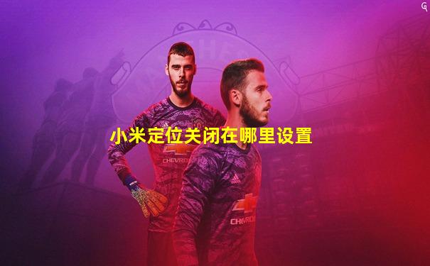 小米定位关闭在哪里设置