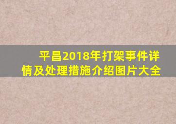 平昌2018年打架事件详情及处理措施介绍图片大全
