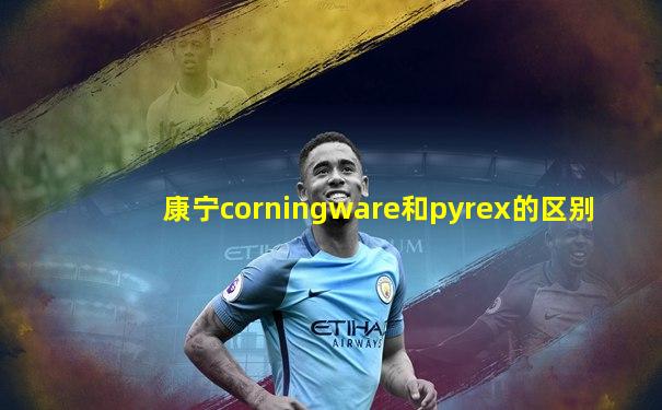 康宁corningware和pyrex的区别