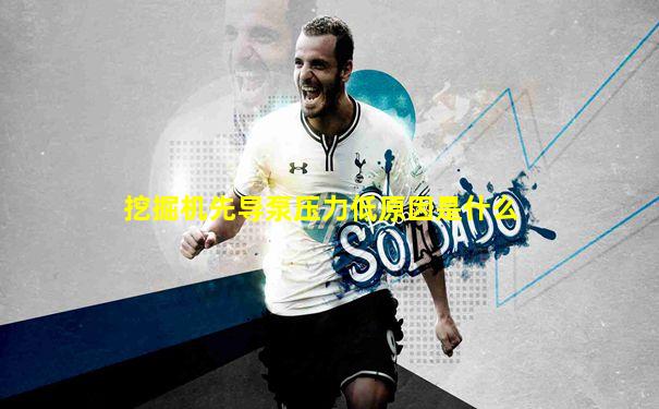 挖掘机先导泵压力低原因是什么