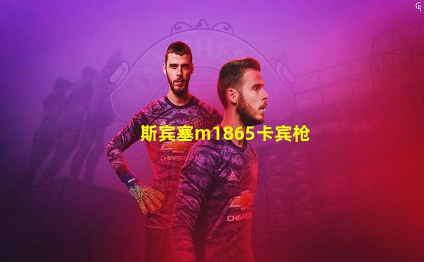 斯宾塞m1865卡宾枪