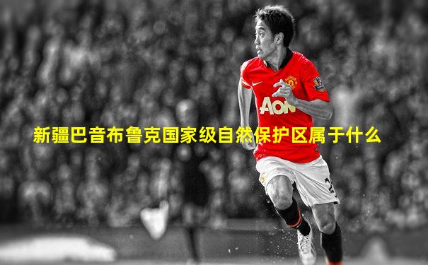 新疆巴音布鲁克国家级自然保护区属于什么