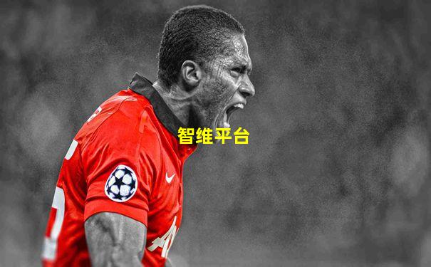 智维平台