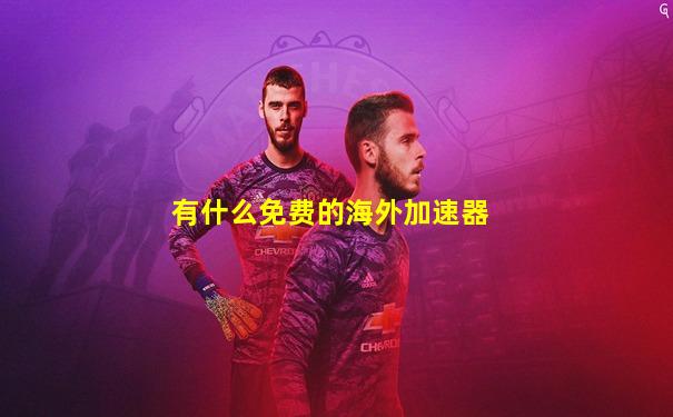 有什么免费的海外加速器