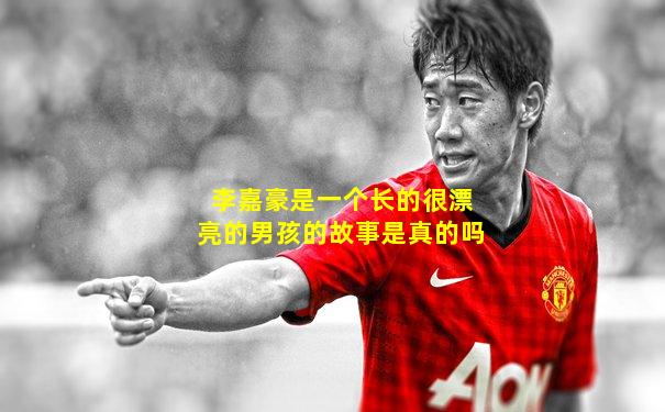 李嘉豪是一个长的很漂亮的男孩的故事是真的吗