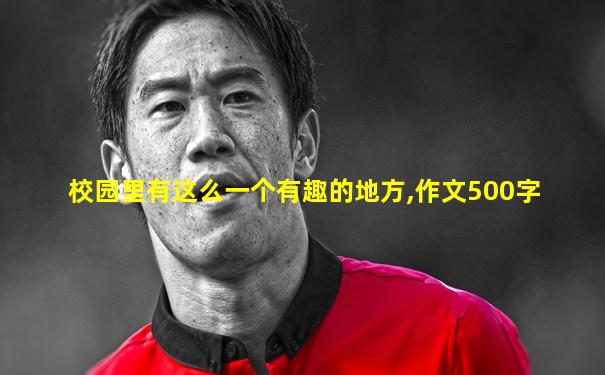 校园里有这么一个有趣的地方,作文500字