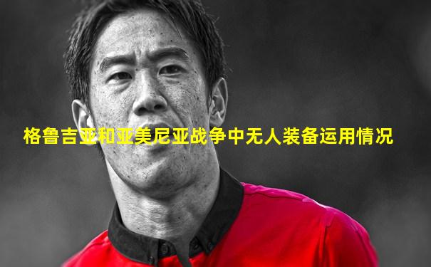 格鲁吉亚和亚美尼亚战争中无人装备运用情况