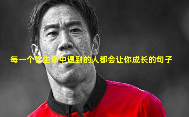 每一个你生命中遇到的人都会让你成长的句子