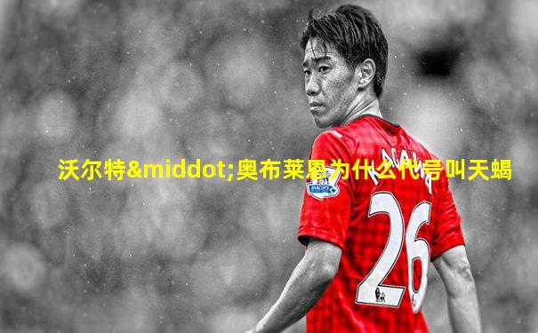 沃尔特·奥布莱恩为什么代号叫天蝎