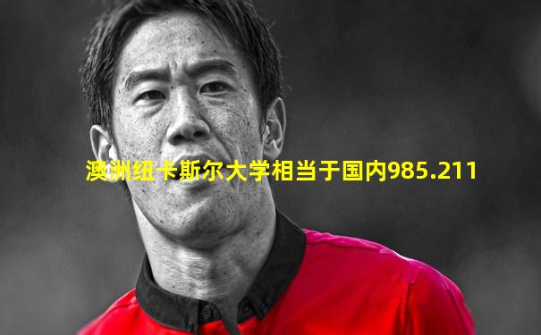 澳洲纽卡斯尔大学相当于国内985.211