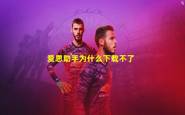 爱思助手为什么下载不了