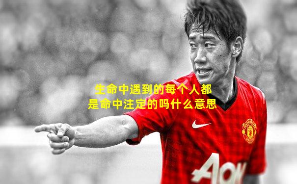 生命中遇到的每个人都是命中注定的吗什么意思