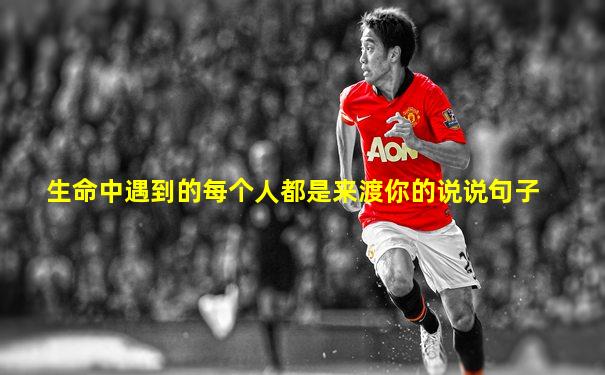 生命中遇到的每个人都是来渡你的说说句子