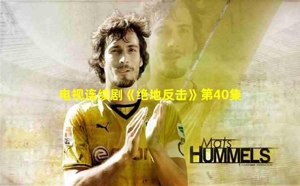 电视连续剧《绝地反击》第40集