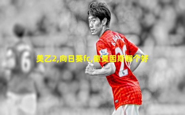 美乙2,向日葵fc,德莫因斯哪个好