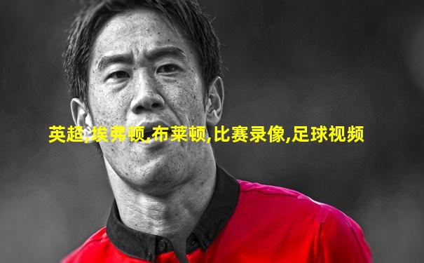 英超,埃弗顿,布莱顿,比赛录像,足球视频