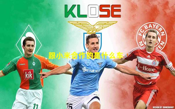 跟小米合作的是什么车