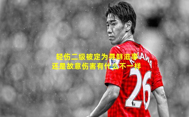 轻伤二级被定为寻衅滋事还是故意伤害有什么不一样