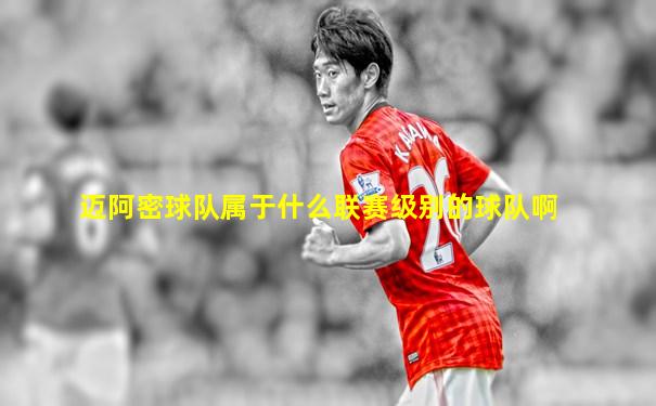 迈阿密球队属于什么联赛级别的球队啊