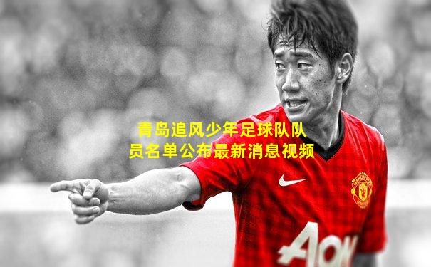 青岛追风少年足球队队员名单公布最新消息视频
