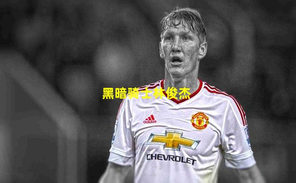 黑暗骑士林俊杰